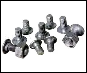 HOTDIP OVEL NECK BOLT